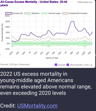 All-cause Mortality USA