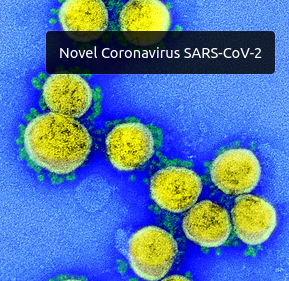 Corona Virus SEM