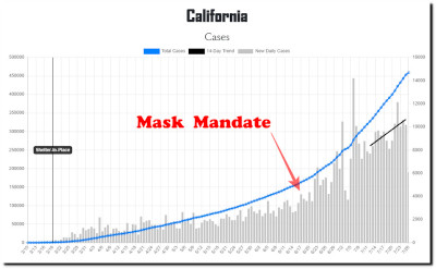 Masks-California Mask Ordnance
