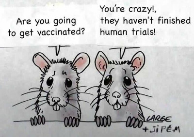 Two Rats-Regarding Vaccination