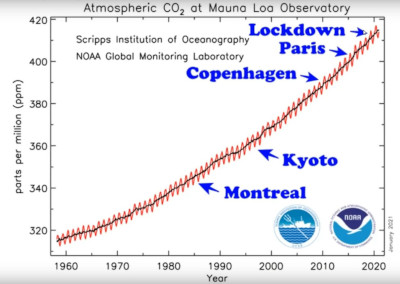 Policies and Human Activity Have No Effect on CO2 Concentration