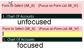 Figure 15.  Text Fields Focused and Unfocused.